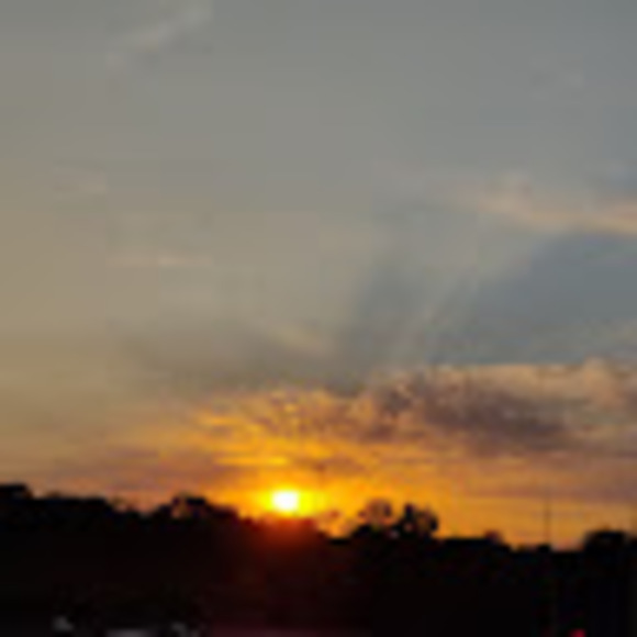 Meet your Posher, Addy - Picture 1 of 1